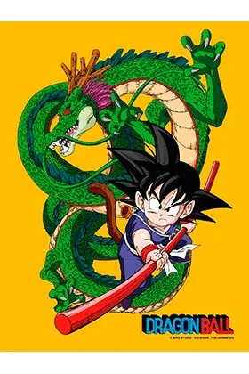 GOKU NIÑO Y SHENRON POSTER DE VIDRIO 30x40 DRAGON BALL