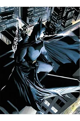 Batman Poster de Vidrio 30x40 DC Universe