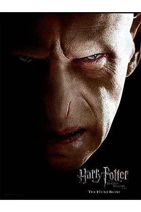 Voldemort Cara Poster de Vidrio 30x40 Harry Potter